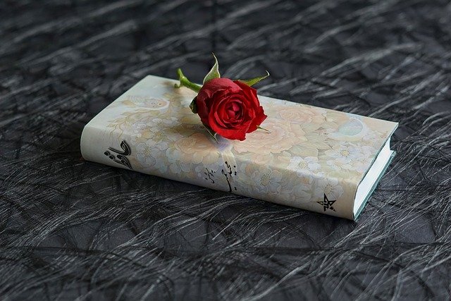 Поэзия — любовь моя